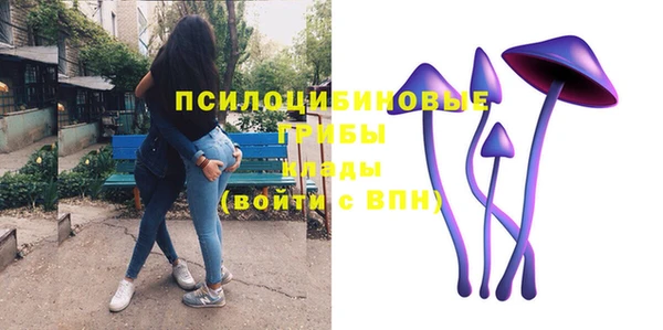 сатива Аркадак
