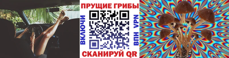 Галлюциногенные грибы прущие грибы  Сальск 